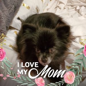 Meet your Posher, Lillian